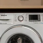 Lentischio *